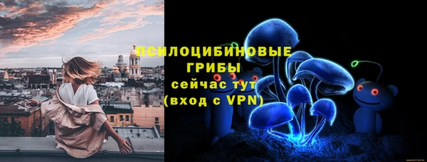 экстази Алексин